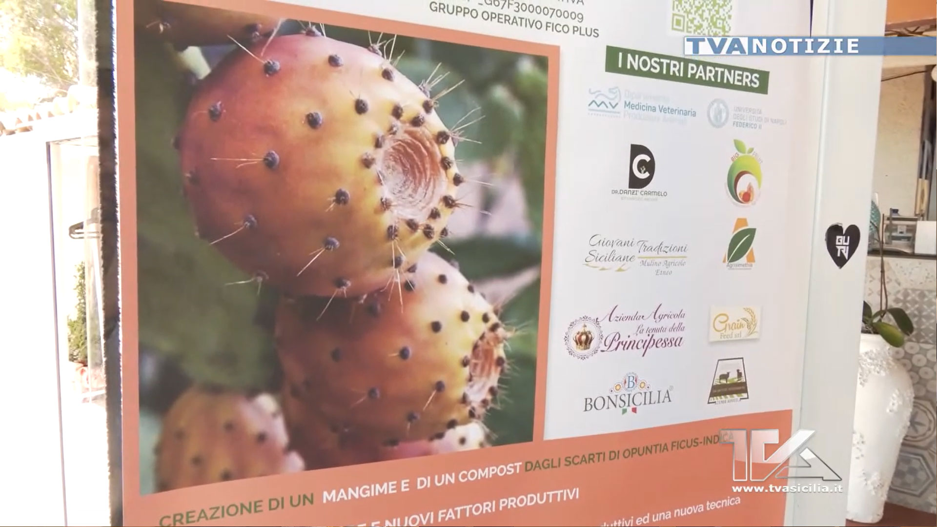 Acireale. Presentato “EbioScart Plus”, un progetto di trasferimento scientifico e tecnologico, che mira alla valorizzazione degli scarti del ficodindia